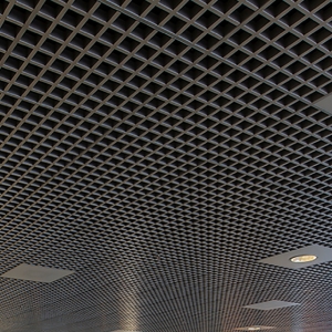 Open Cell Ceiling Systems Ceilings And Lighting